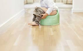 I started training them between nine and twelve weeks of age. How To Approach Potty Training To Your Toddler Cafemom Com