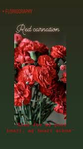 Flower Meanings The Language Of Flowers In 2021 Flower Meanings Language Of Flowers Plant Symbolism