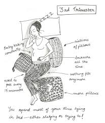 Pin On Pregnancy Giggles