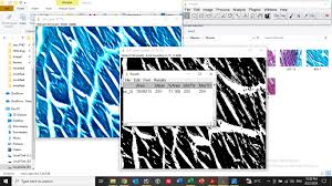 area in image j analysis - Image Analysis - Image.sc Forum