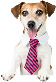 Ford F-100 GNC Usadas en San Luis, deRuedas