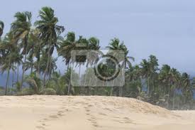 Neben dem schönsten strand hollands gelegen; Tropische Sturm Am Azuretti Strand In Grand Bassam Elfenbeinkuste Fototapete Fototapeten Tropensturm Palme Atlantik Myloview De