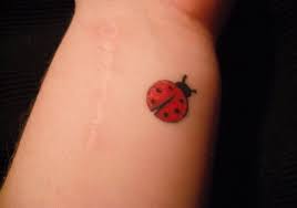 Ladybug Tattoo Google Search Lady Bug Tattoo Bug Tattoo Wrist Tattoos For Guys