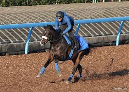 (poetic) the month of spring; Qgyuamp2eow8dm