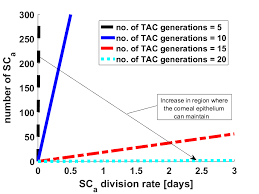 Check spelling or type a new query. Parameter Spaces In An Optimal Case Equation 23 Where Only Download Scientific Diagram