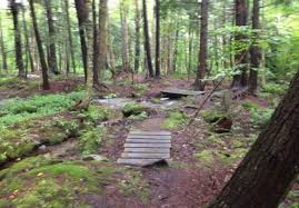 Gifford Woods State Park In Vermont Includes An Ancient Forest That S Home To 400 Year Old Trees Vermont Park Ancient Forest