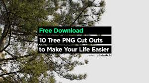 Pine cones tap fir tree. 10 Tree Png Cut Outs To Make Your Life Easier Free Download