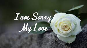 Maybe you would like to learn more about one of these? Sorry Messages For Boyfriend Apology Quotes For Him Wishesmsg