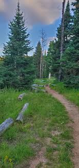 Maybe you would like to learn more about one of these? Crystal Springs Hike And Cedar Mountain S Calling