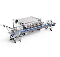 Intelligent Multihead Weigher For Fresh/Frozen Blueberries ...