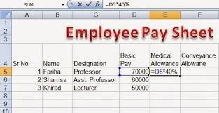 Perfect Computer Notes Employee Pay Sheet Formulas In