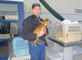 Find a furry new friend and give these dogs and cats the love and care they need. Dodging Death