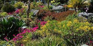 Vous aurez également besoin de substrat : Faire Un Jardin De Cactus Exemple