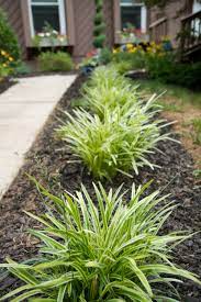 Spring Is Coming Is Your Landscaping Ready Inexpensive Landscaping Simple Front Yard Landscaping Backyard Landscaping Designs