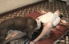 Search millions of videos from across the web. Porno Com Animal Lambendo Dona Ate Gozar Zoofilia Gratis