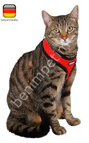 Yumusak Mesh Kumas Kedi Gezdirme Tasmasi 120cm Kayisli Kerbl