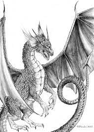 Check spelling or type a new query. Realistic Full Body Advanced Dragon Drawing Novocom Top