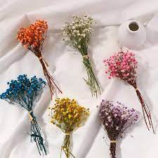 Dried flowers brighten up any setting where they are placed with their bright, natural colors and fragrance. 1bunch Mini Natural Dried Flowers Bouquets Babysbreath Real Flower Colorful Natural Flower Wedding Party Decor Artificial Dried Flowers Aliexpress
