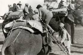 Louis Bromfield and the Tiger Rug ...