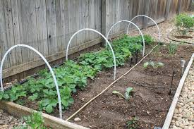 With our first frost approaching, i thought i'd show you how we go about adding a hoop house to one of our 4 x 8 raised beds. Diy Garden Projects Use Dollar Store Hula Hoops To Animal Proof Gardens Animal Proof Garden Garden Projects Diy Garden Projects