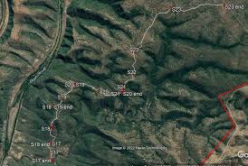 Image result for Droguetia ambigua