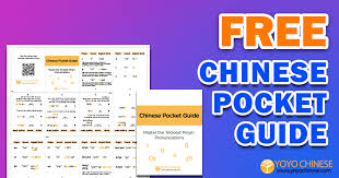 free chinese pocket guide master the trickiest pinyin