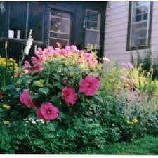 Check out these front garden ideas that'll work even in the smallest of spaces. Landscape Photos Design Landscaping Ideas Pictures Dave S Garden