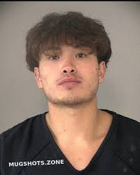 STINE JAYDEN PAUL 06/26/2024