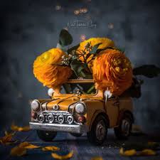 nahal tabatabai chury c on instagram live life in full bloom dark macro art splendid dof macro miniature photography cute cars cute art