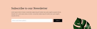 Seasonal sale is now officially live. Newsletter Subscription One Page Template