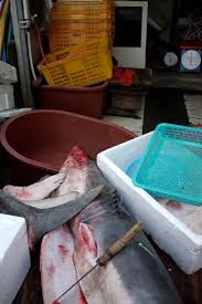 / ˈ t æ k oʊ /, spanish: Photoblog Shots From Jukdo Fish Market Pohang Korea