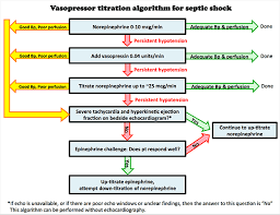 Image result for Vasopressor