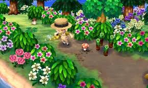 Town Inspiration Spring Hibiscus Pathway Animal Crossing 3ds Animal Crossing Animal Crossing Qr