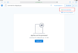I'm downloading through direct link, because i dont have a dropbox plan and can't save it to dropbox. How To Install Procreate Brushes On Your Ipad Ipad Calligraphy