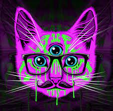 Add crazy swirly hair, big. Three Eyed Cat Hipster Wallpaper Hipster Cat Trippy Cat