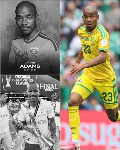 Thương: Tuyển thủ Nam Phi Jayden Adams ra đi sau World Cup 2026