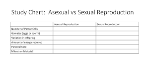 Asexual Vs Sexual Reproduction Ppt Download