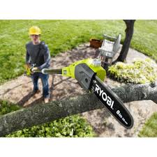 Check spelling or type a new query. Ryobi One 18v 8 In Cordless Battery Pole Saw With 1 3 Ah Battery And Charger P4361 The Home Depot Pole Saw Ryobi Power Tools For Sale