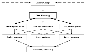 1 Interrelationship Among Plant Phenology Climate Change