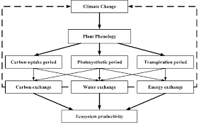 1 interrelationship among plant phenology climate change