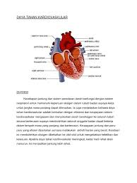 1) kaedah latihan jarak jauh perlahan (long slow distance). Daya Tahan Kardiovaskular