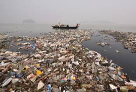 Marine day started in 1996 and since 2003 has been celebrated on the 3rd. Sea Change Japanese Leads On Marine Plastic Litter East Asia Forum