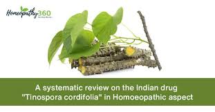 Image result for Tinospora