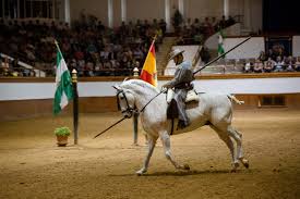 Our physicians and advance practice nurses, who also serve as faculty at the university of minnesota, are specialists in women's health, focusing on the whole person and making use of all appropriate therapeutic approaches and disciplines so you. Tourism As An Agent Of Reinvention For European Equestrian Intangible Heritages