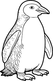 Penguin Coloring Book - Coloring Pages with Penguin Designs for Kids to  Coloring | Made By Teachers