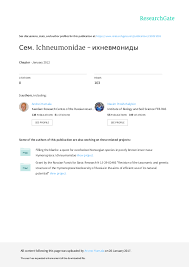 Check spelling or type a new query. Pdf Sem Ichneumonidae Ihnevmonidy Andrei Humala Academia Edu