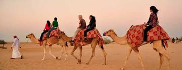 As an exclusive /private safari tour, our instructor will take you for a thrilling dune bashing drive in the 4x4 landcruiser and adrenaline dune buggy safari , camel farm visit and will provide you. Hummer Desert Safari Dubai Adventures Tours And Safaris