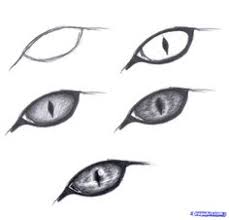 Easy step by step cat drawing. 34 Draw Cat Eyey Ideas Cat Drawing Drawings Animal Drawings