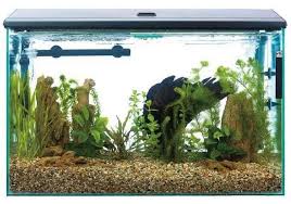Aquarium Supplies Walmart Heaters Supplies Checkli Aquarium Supplies Aquarium Aquarium Decorations