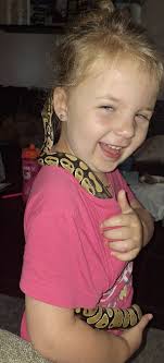 My folks have an abundance of Quail eggs lol. We will see if Nimm will  actually eat one.